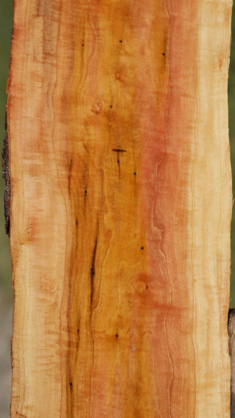 Pink Ivory Live Edge Lumber