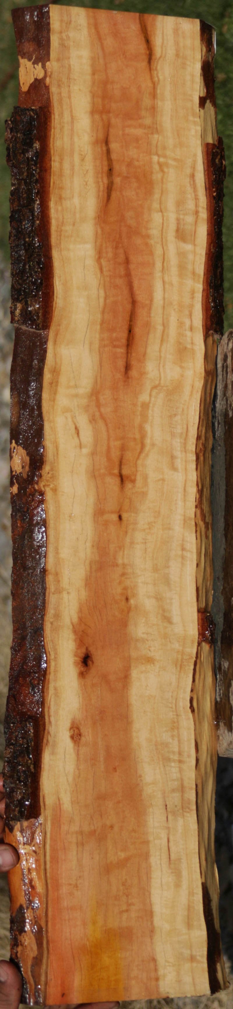 Pink Ivory Live Edge Lumber