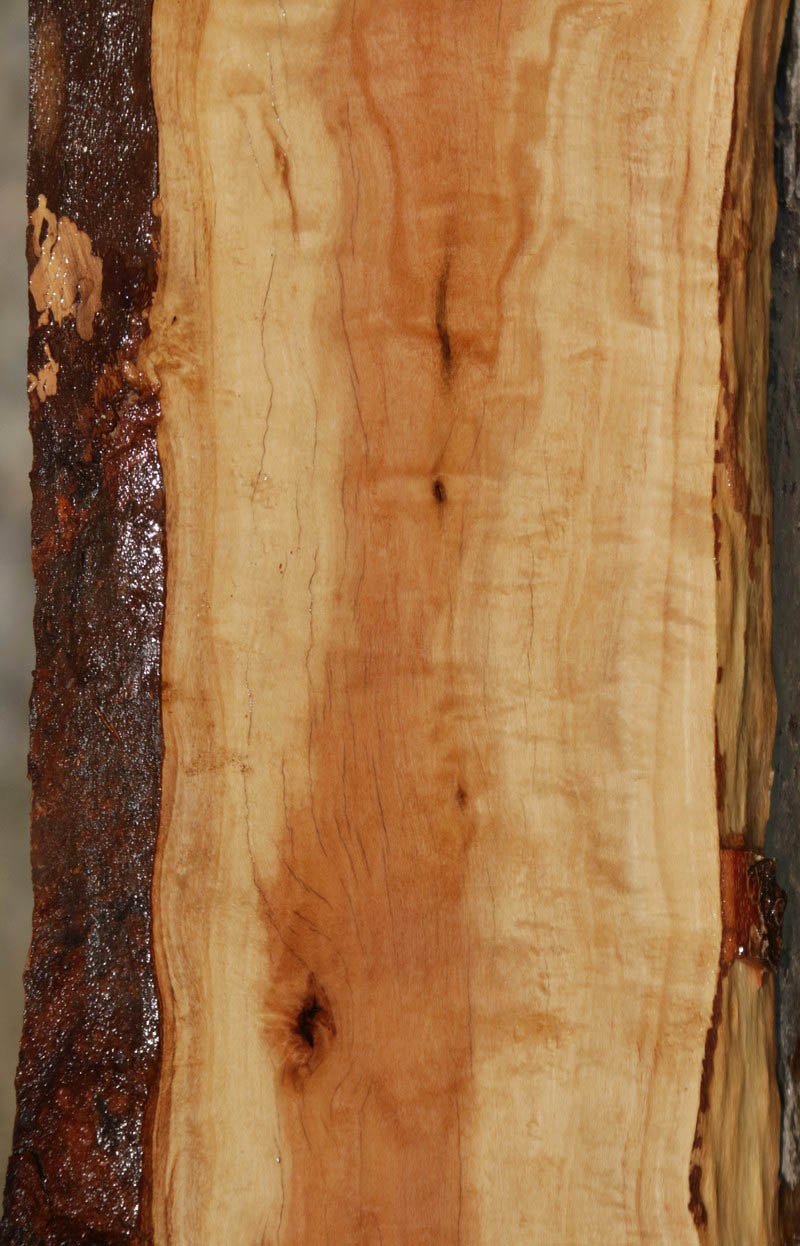 Pink Ivory Live Edge Lumber