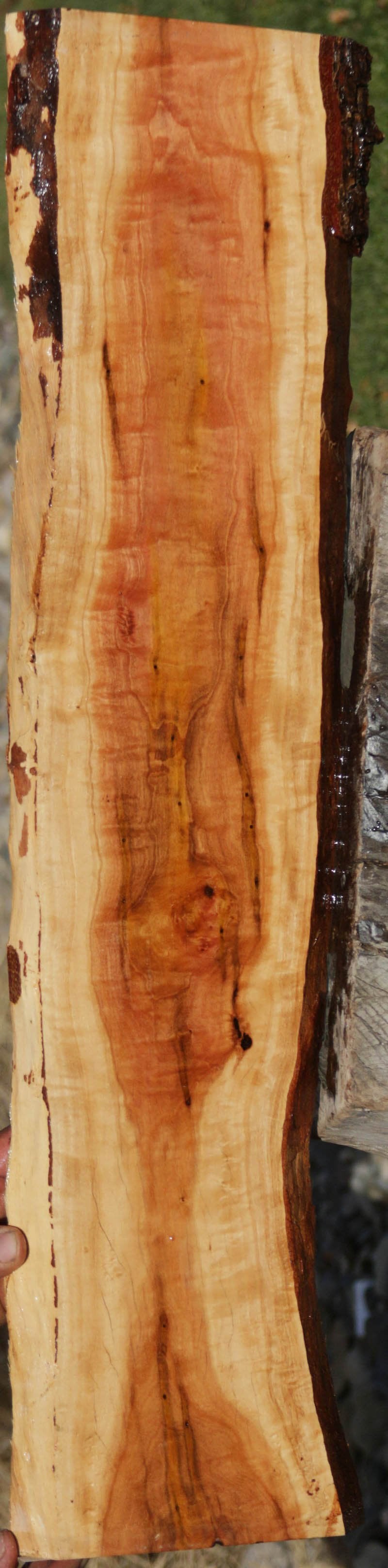 Pink Ivory Live Edge Lumber