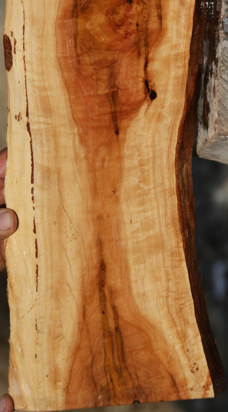 Pink Ivory Live Edge Lumber