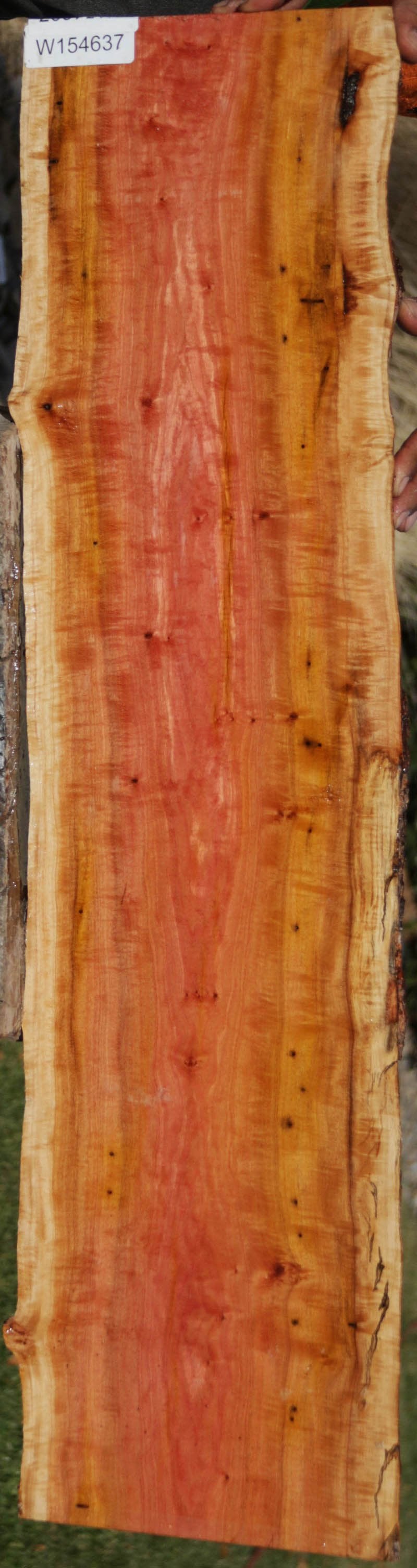 Exhibition Pink Ivory Live Edge Lumber