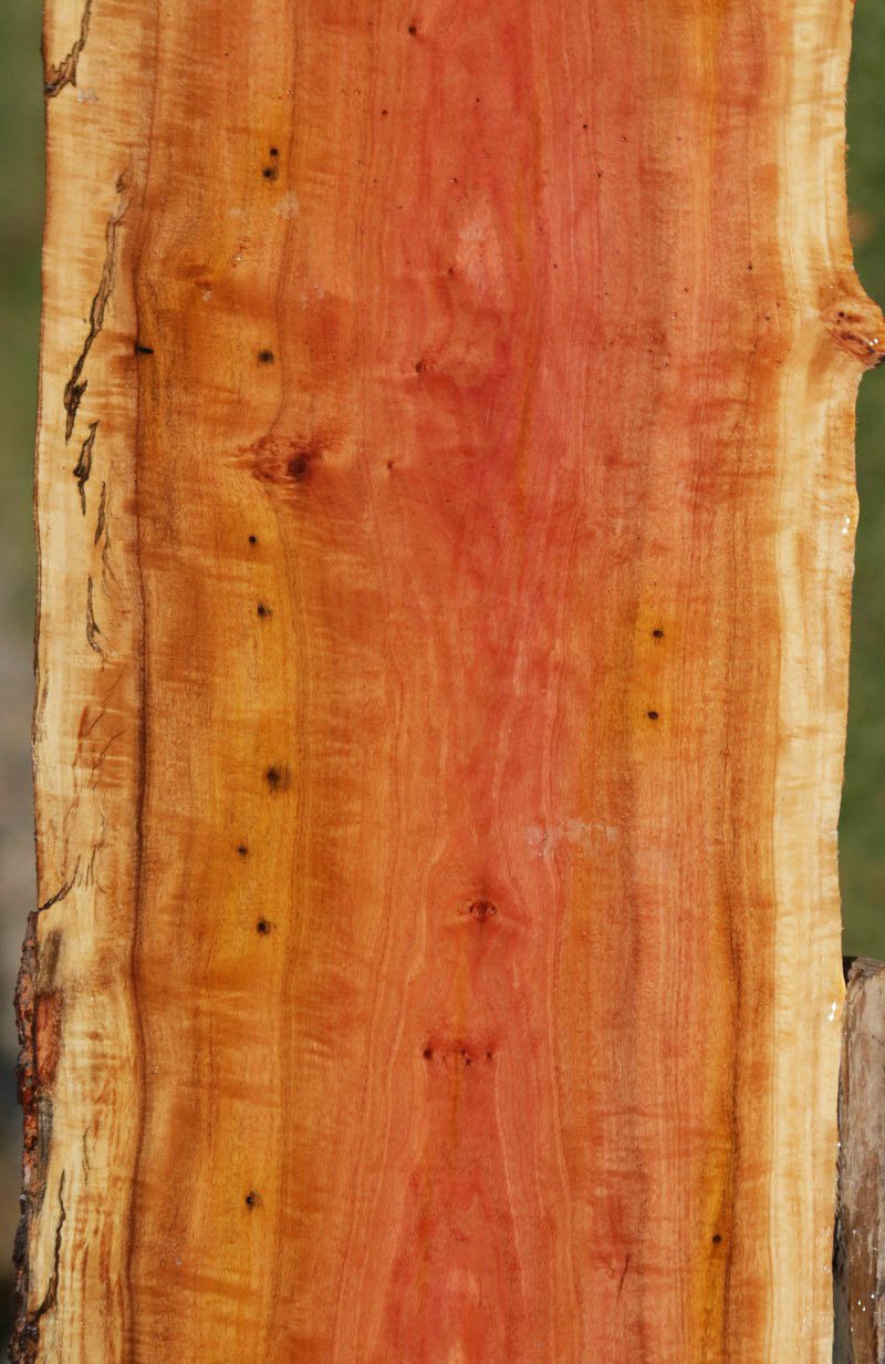 Exhibition Pink Ivory Live Edge Lumber