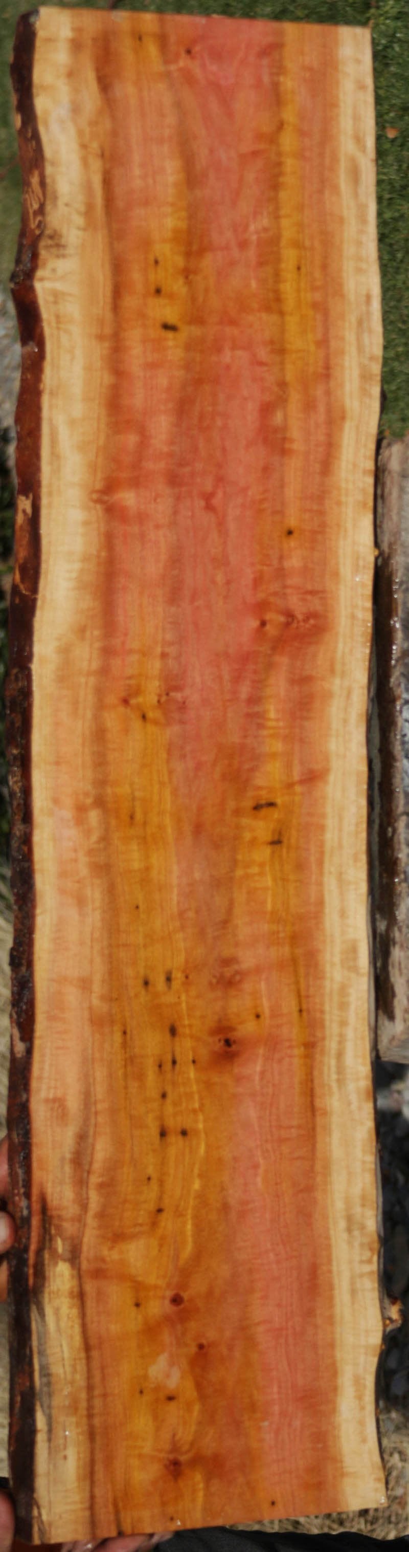 Exhibition Pink Ivory Live Edge Lumber