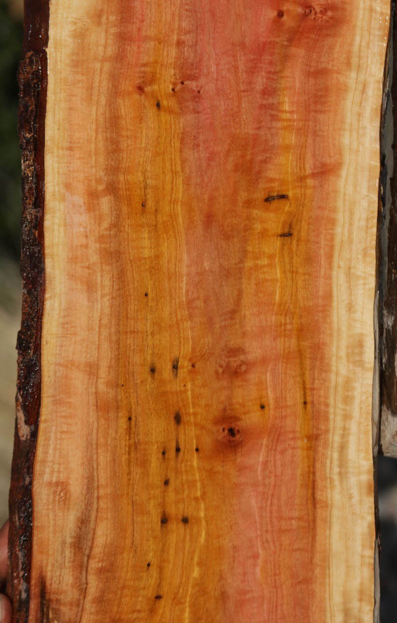 Exhibition Pink Ivory Live Edge Lumber