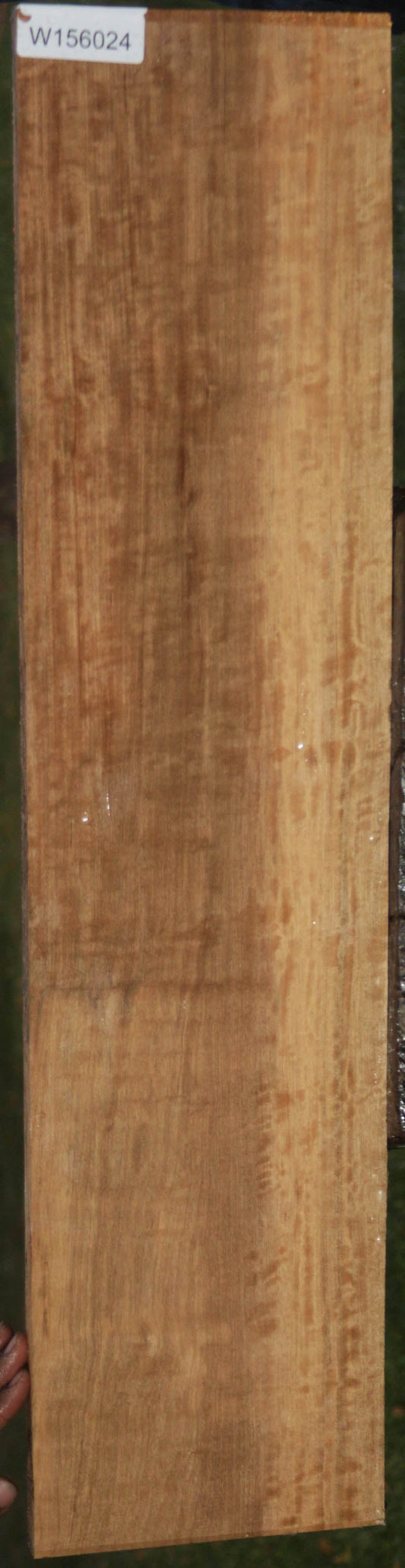 Extra Fancy Curly Asian Satinwood Lumber