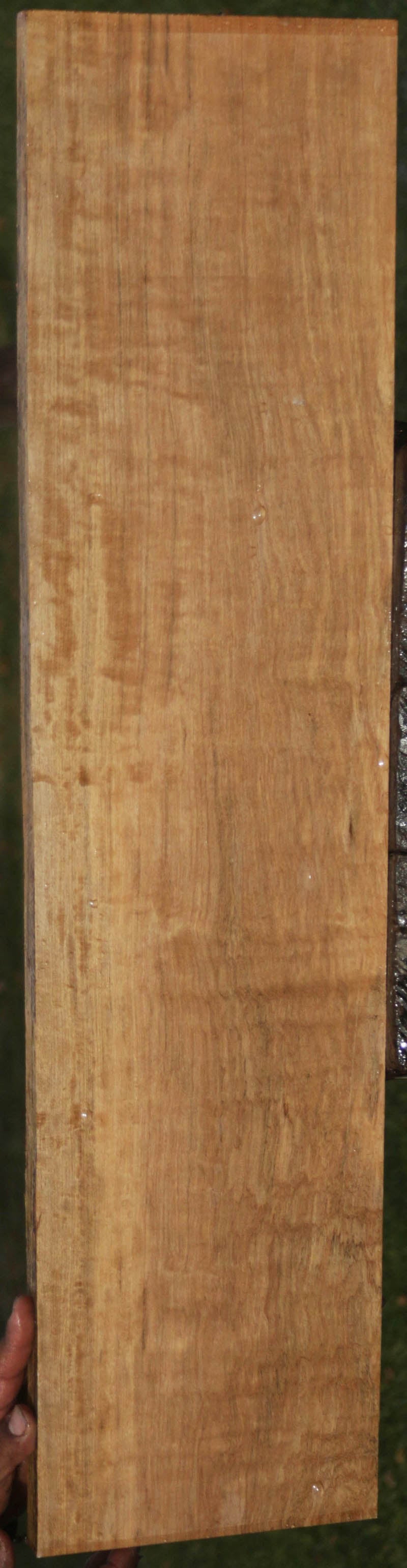 Extra Fancy Curly Asian Satinwood Lumber