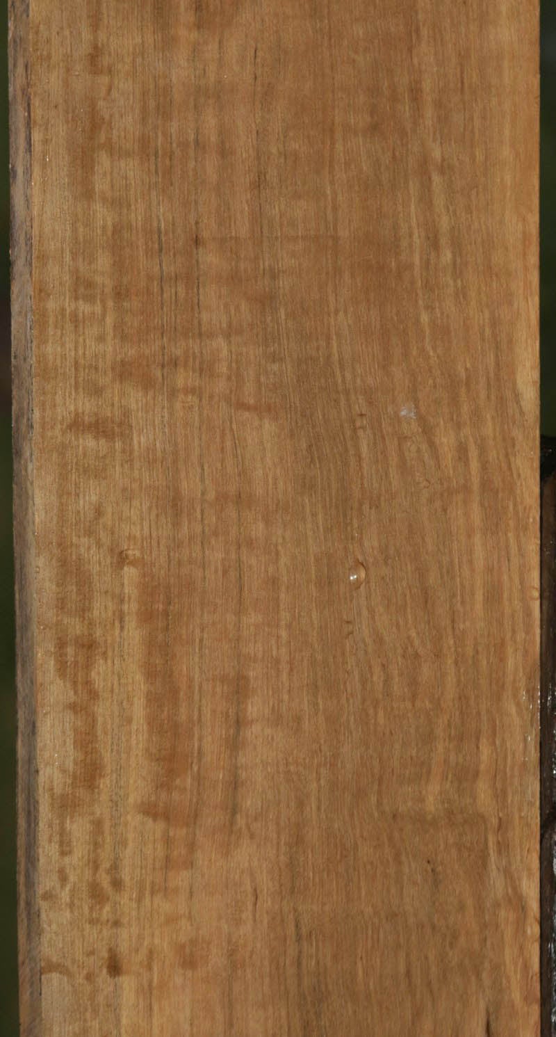 Extra Fancy Curly Asian Satinwood Lumber