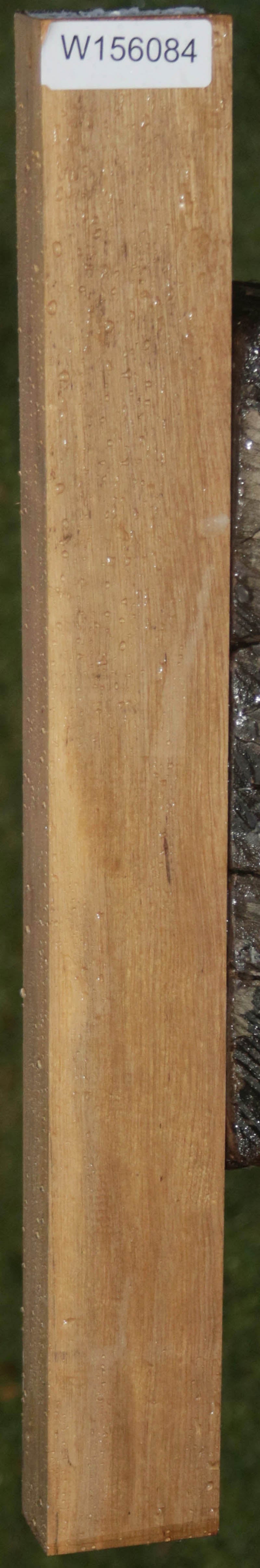 Extra Fancy Curly Asian Satinwood Lumber