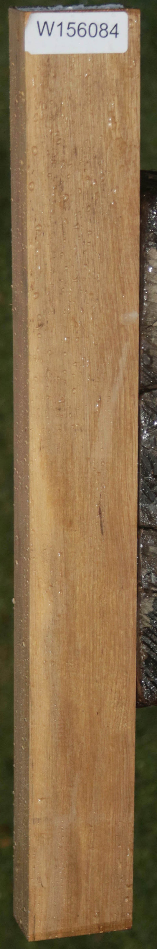 Extra Fancy Curly Asian Satinwood Lumber