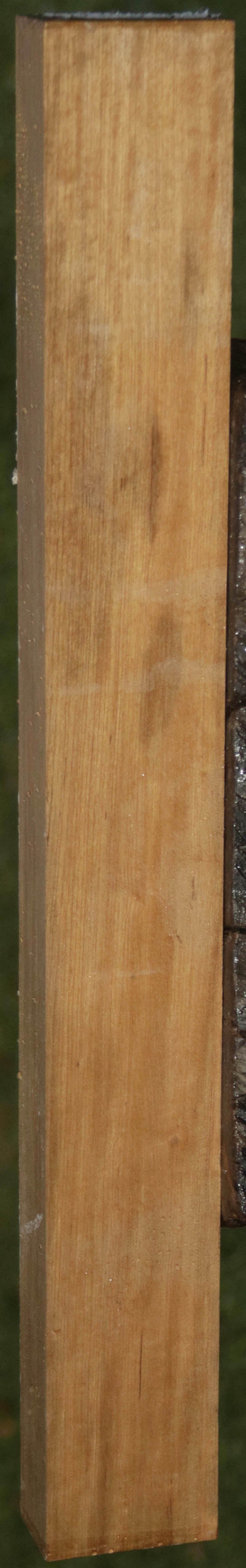 Extra Fancy Curly Asian Satinwood Lumber