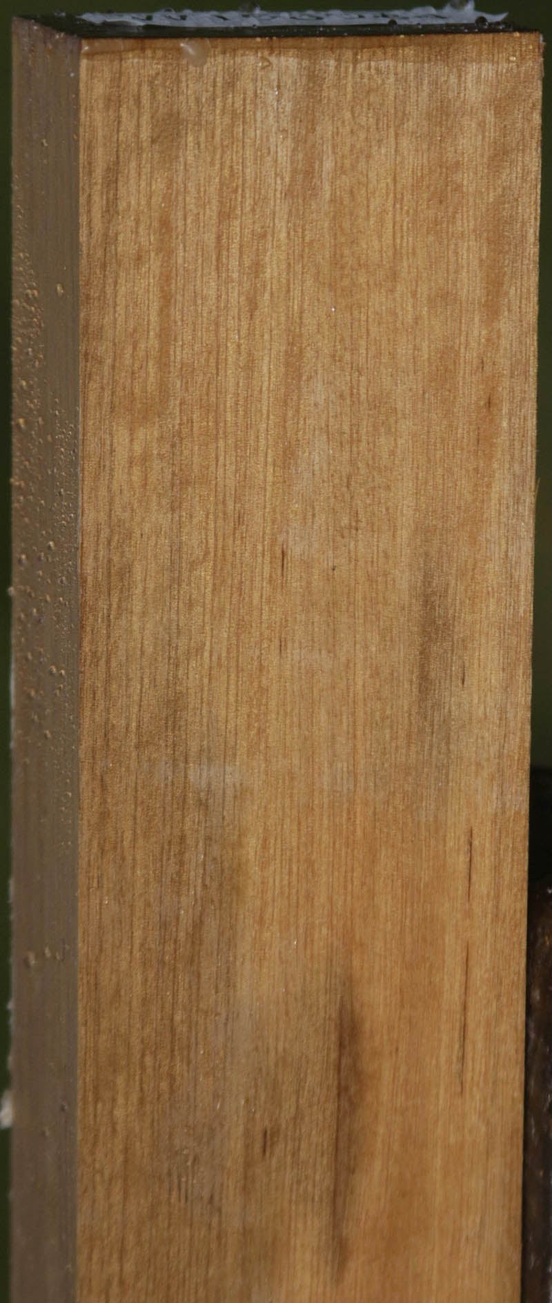 Extra Fancy Curly Asian Satinwood Lumber