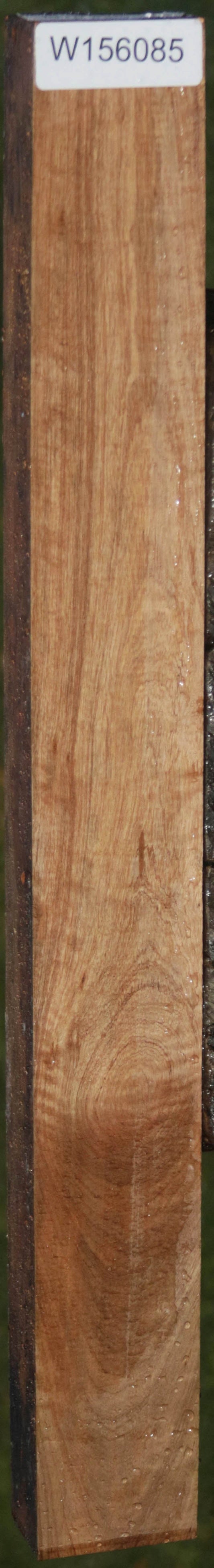 Curly Asian Satinwood Lumber