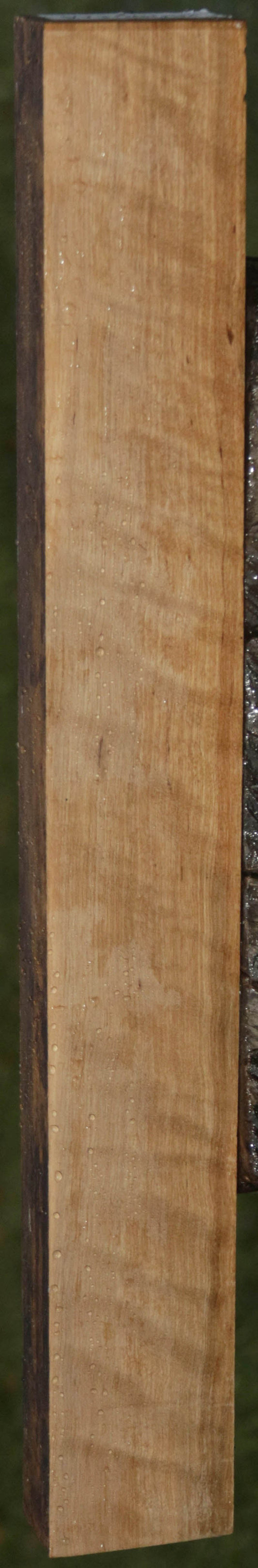 Curly Asian Satinwood Lumber
