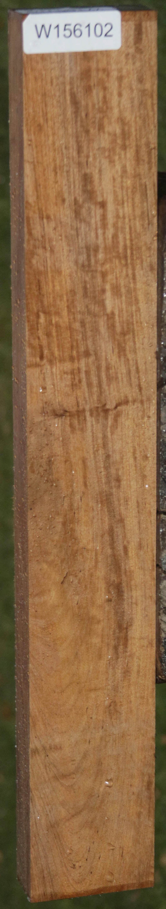 Curly Asian Satinwood Lumber