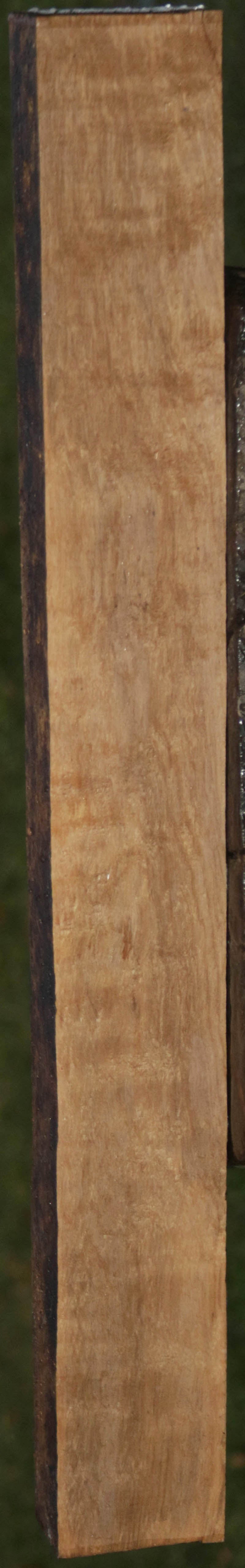 Extra Fancy Curly Asian Satinwood Lumber