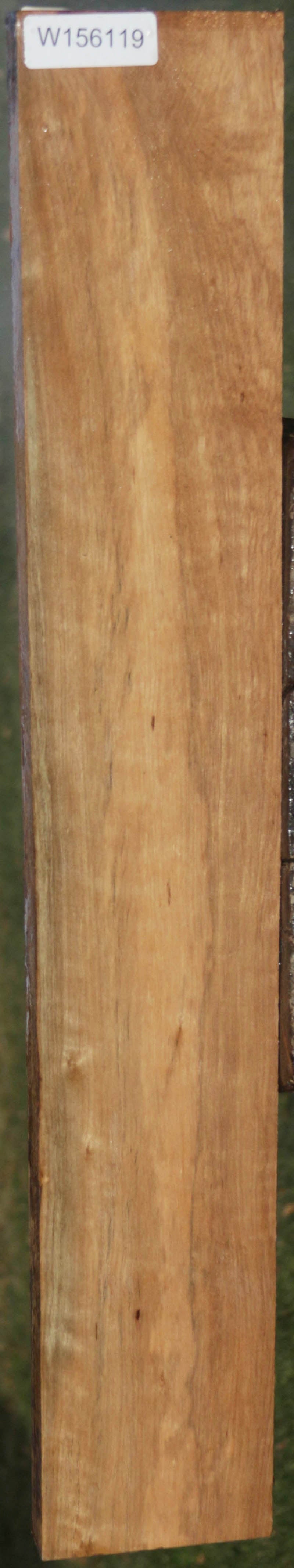 Curly Asian Satinwood Lumber