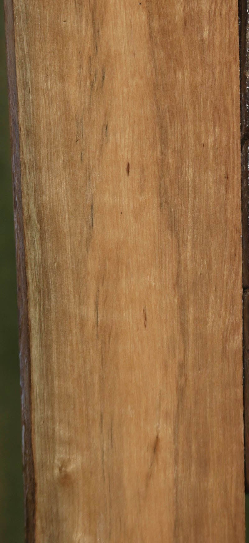Curly Asian Satinwood Lumber