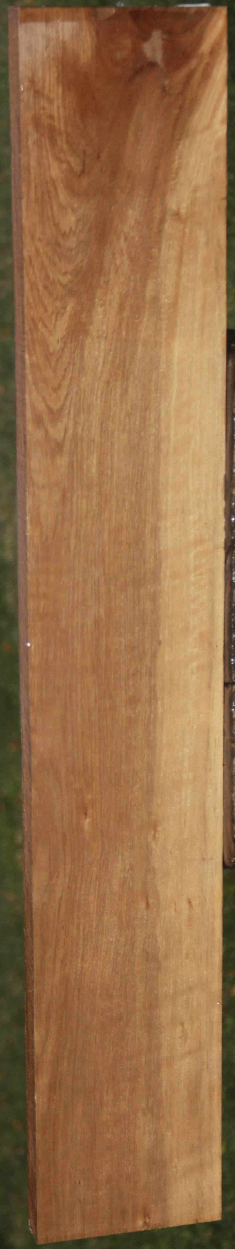 Curly Asian Satinwood Lumber