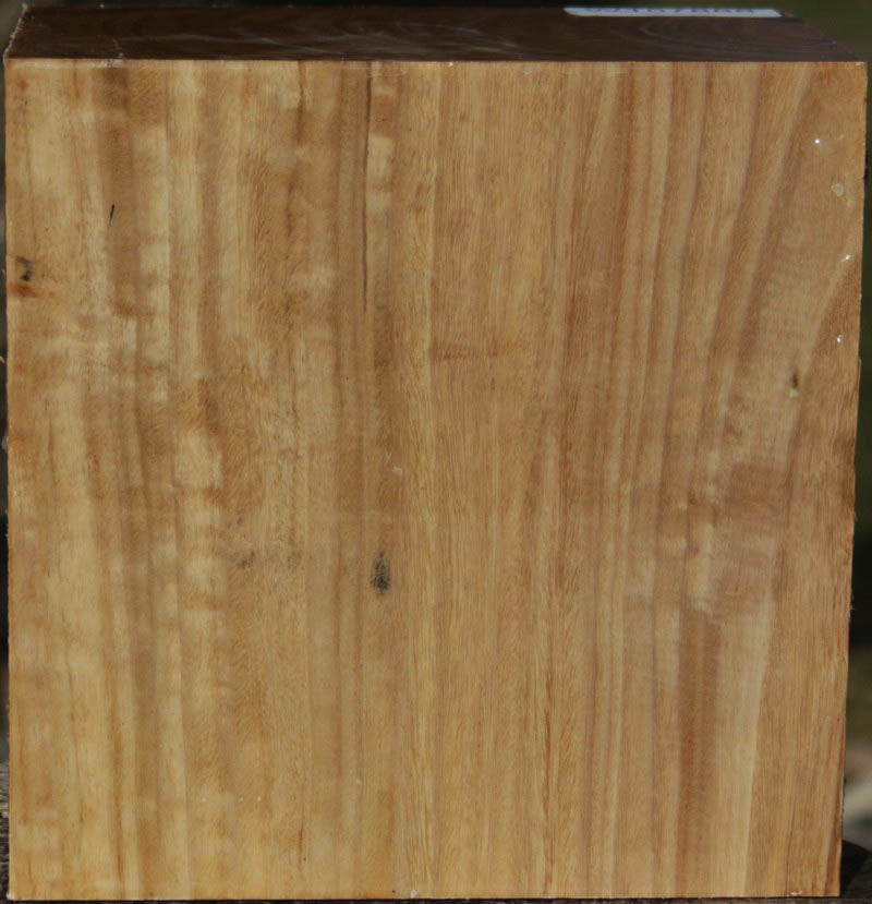 Figured Curly Australian Eucalyptus Bowl Blank