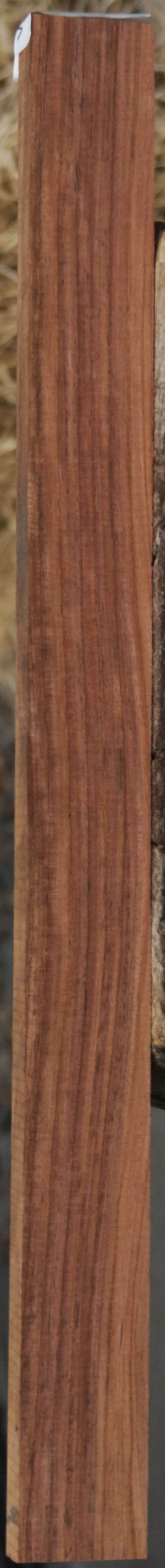 Panama Rosewood