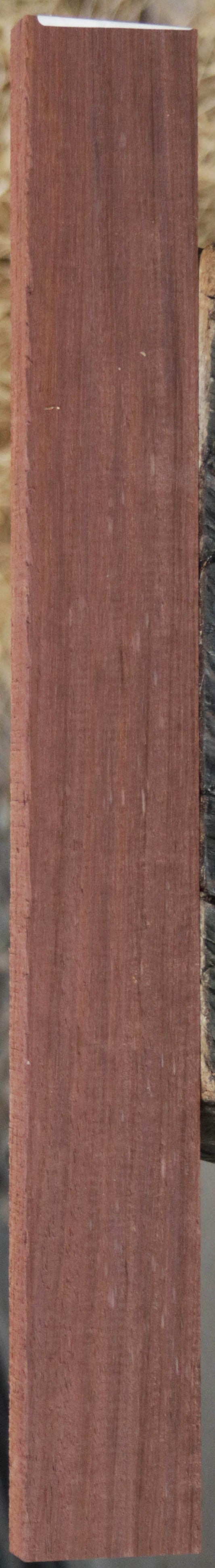 Panama Rosewood
