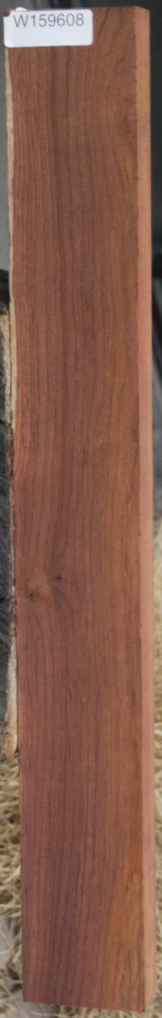 Panama Rosewood