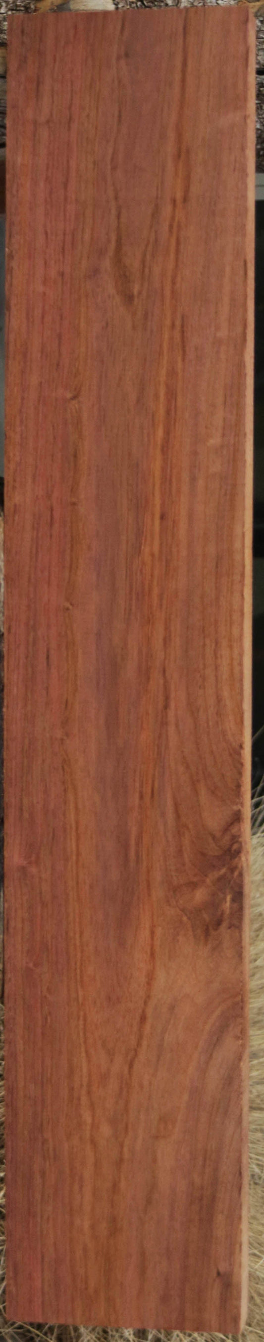 Panama Rosewood