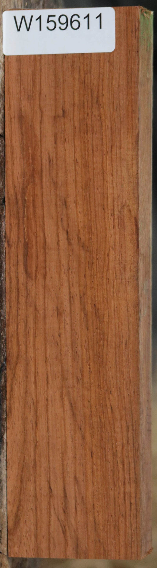 Panama Rosewood