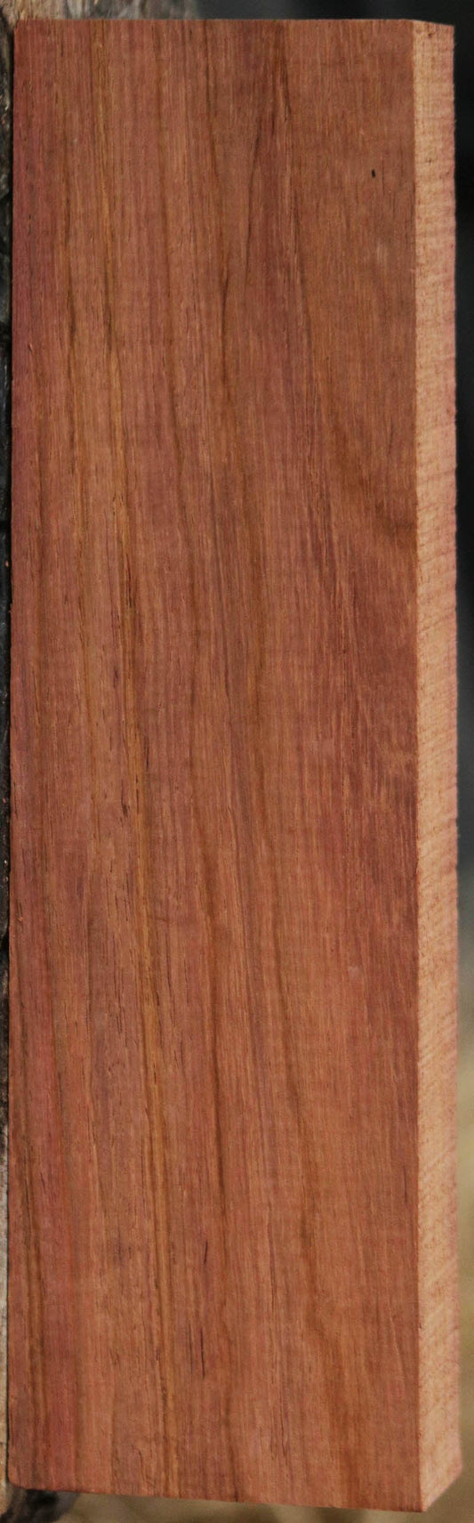 Panama Rosewood