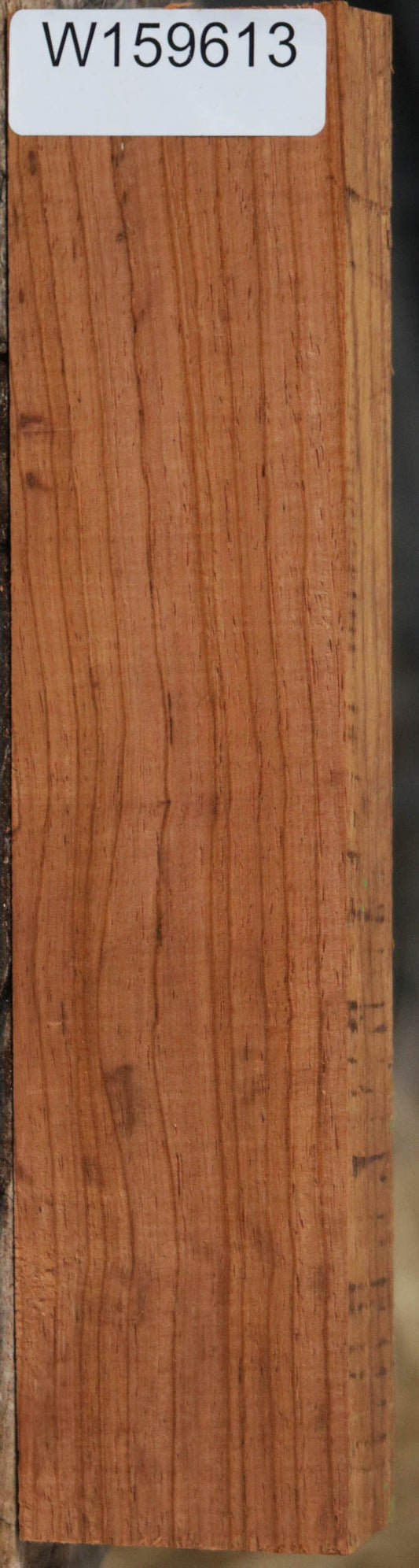 Panama Rosewood
