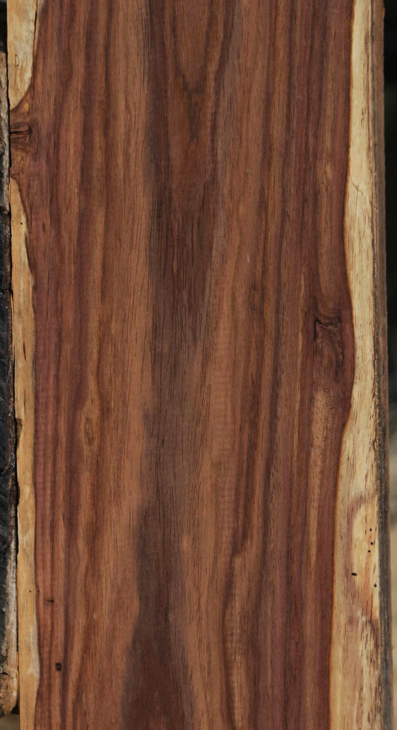 Panama Rosewood