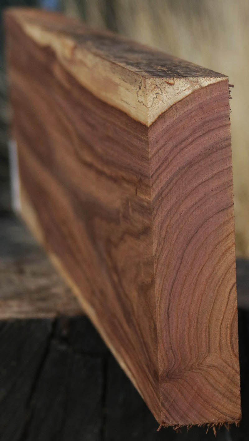 Panama Rosewood