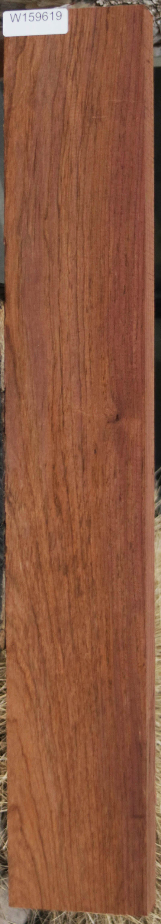 Panama Rosewood