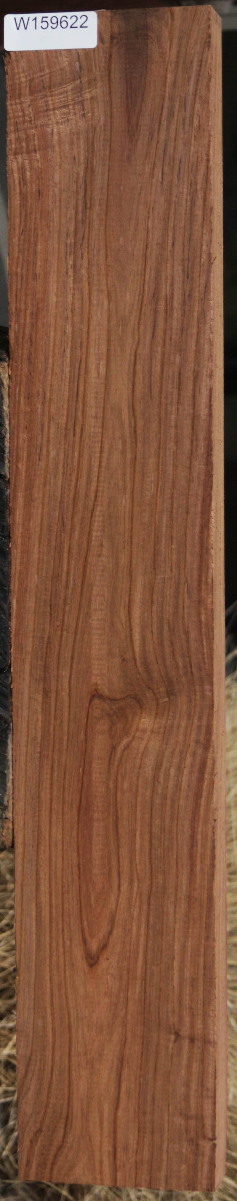Panama Rosewood