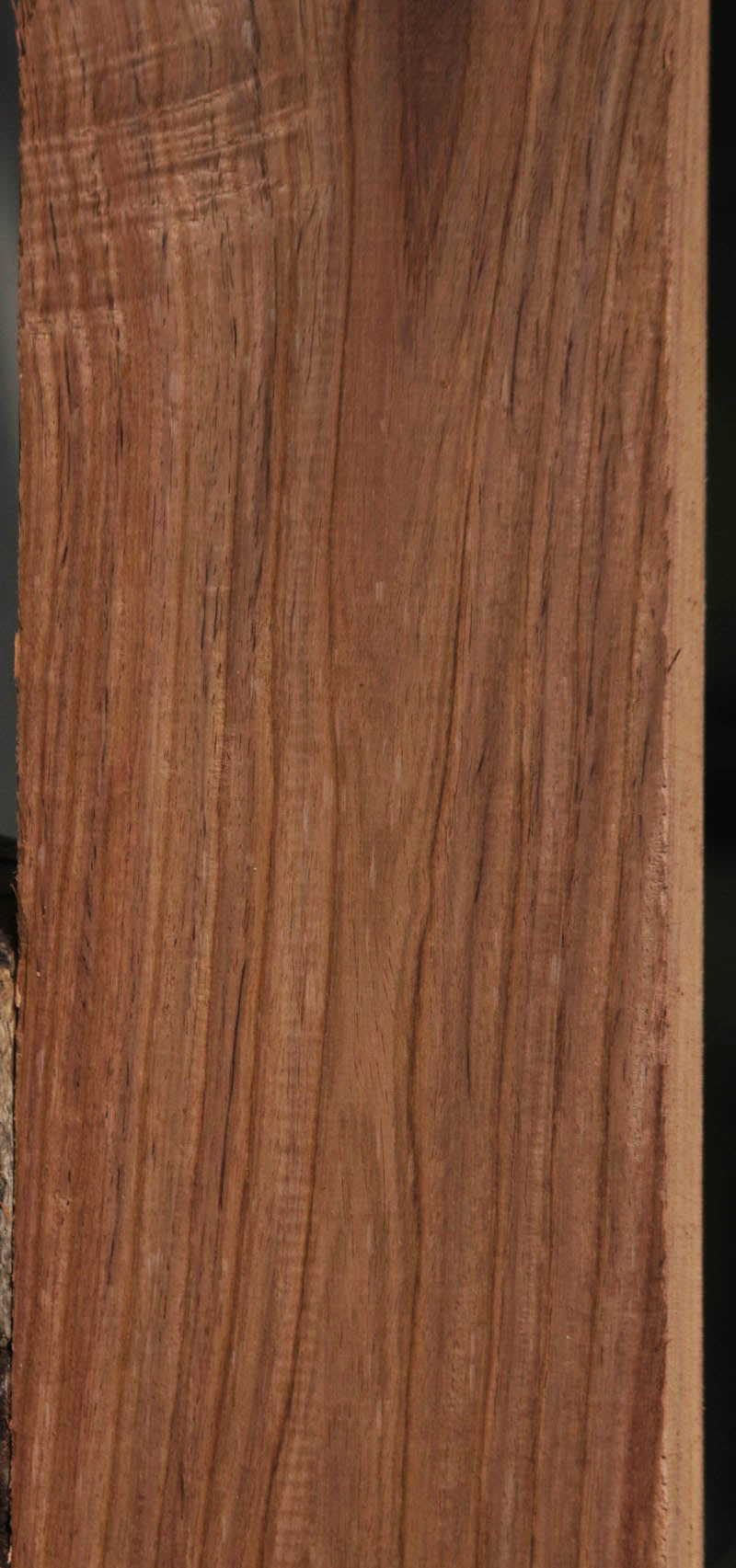 Panama Rosewood