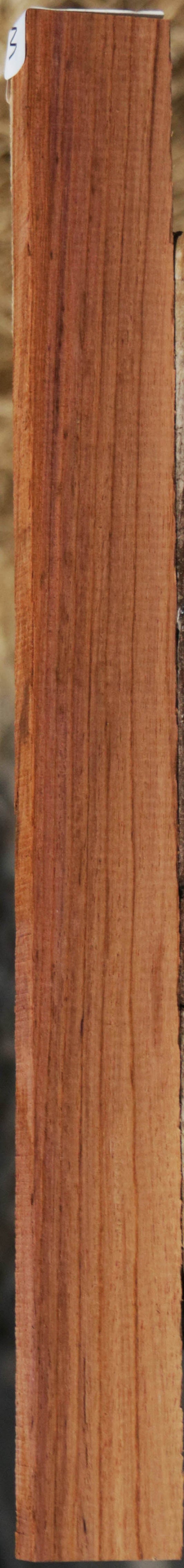 Panama Rosewood