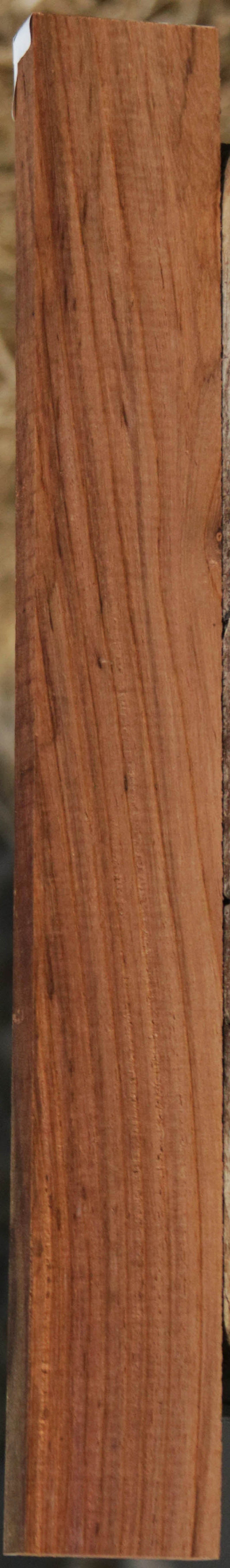 Panama Rosewood