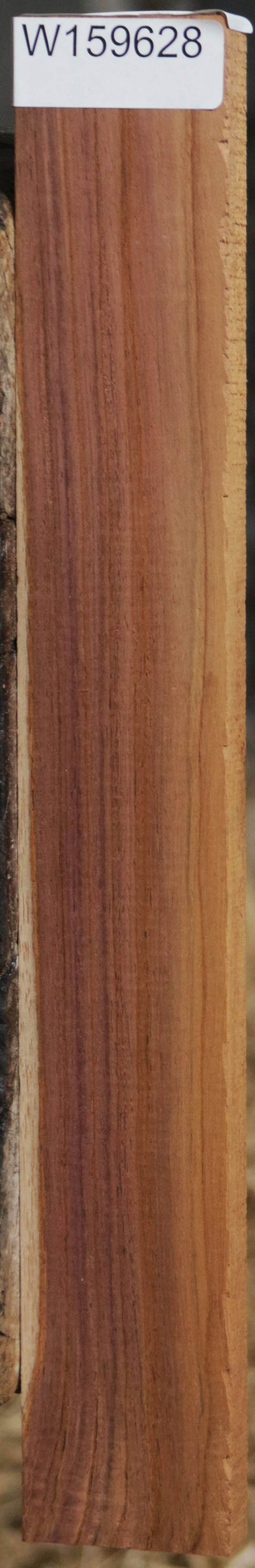 Panama Rosewood