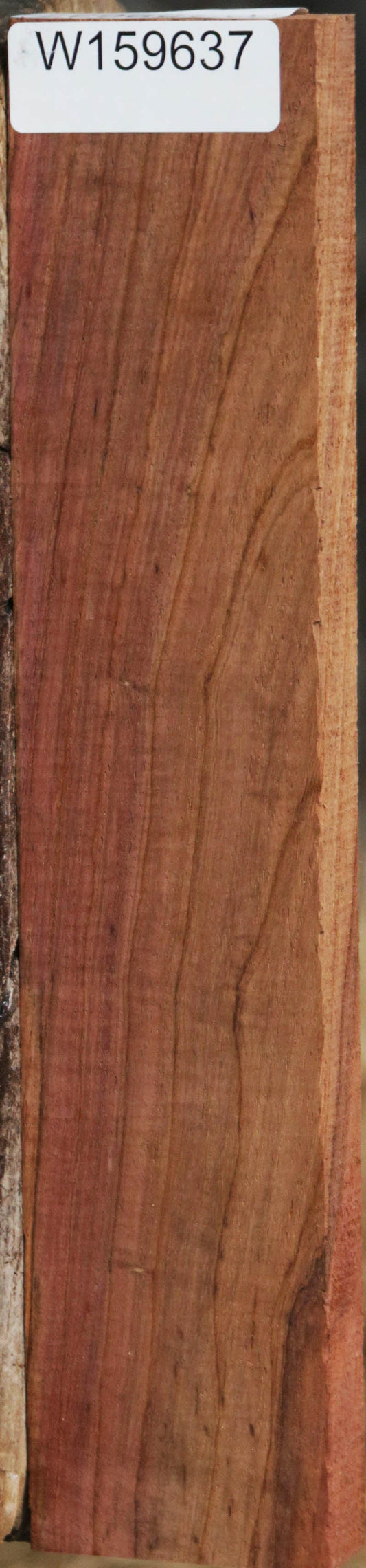 Panama Rosewood