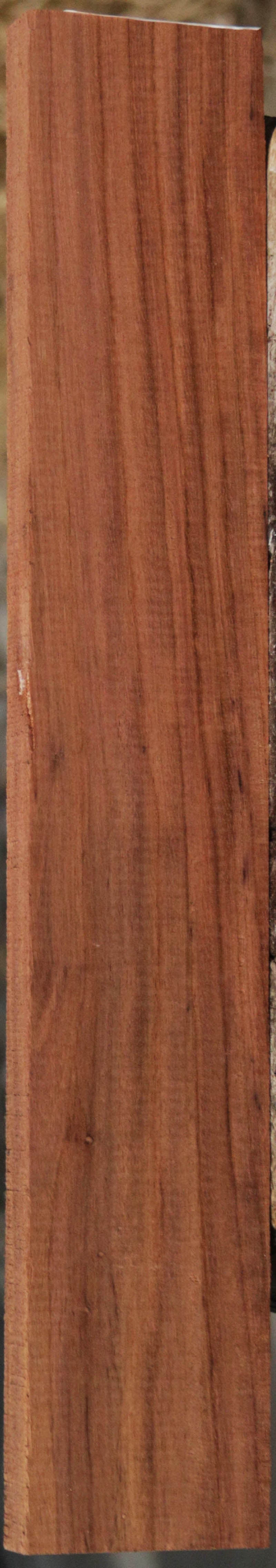 Panama Rosewood