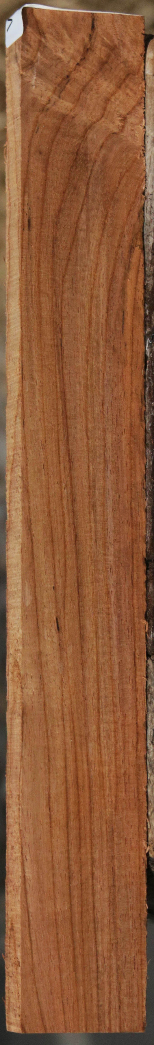 Panama Rosewood