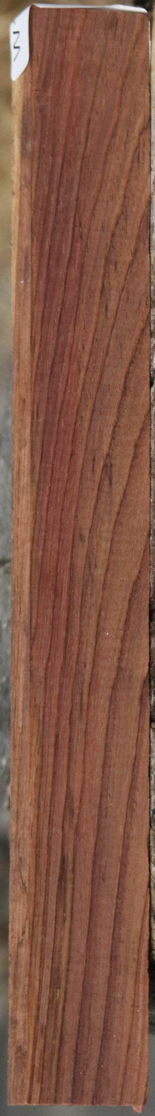 Panama Rosewood