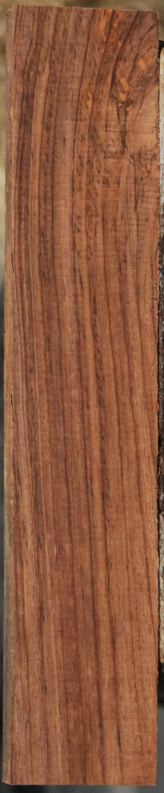 Panama Rosewood
