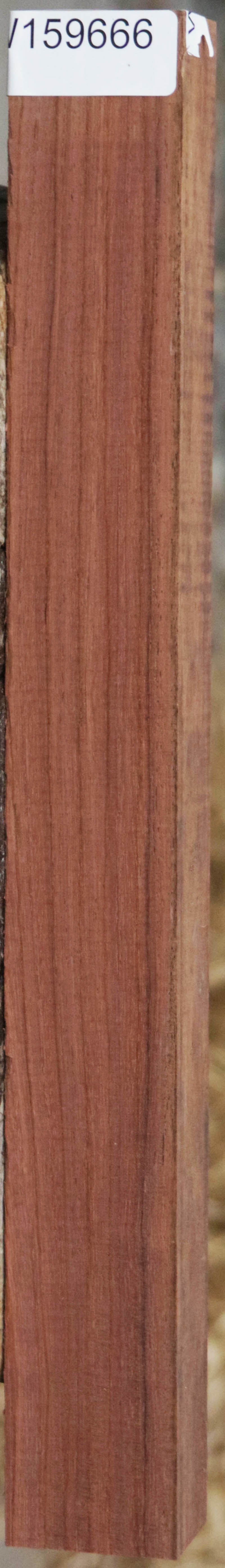 Panama Rosewood