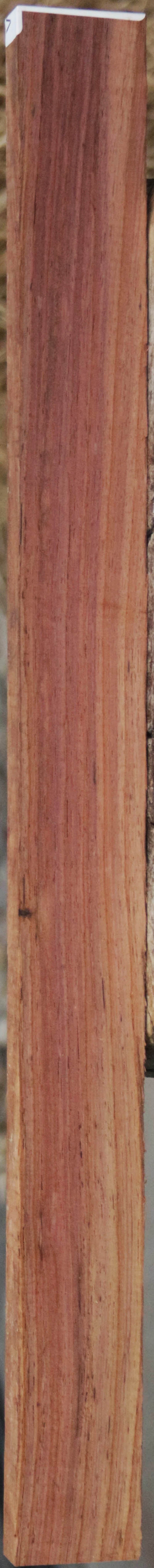 Panama Rosewood
