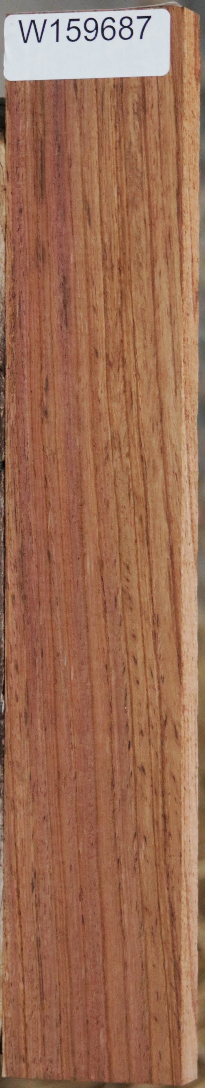 Panama Rosewood