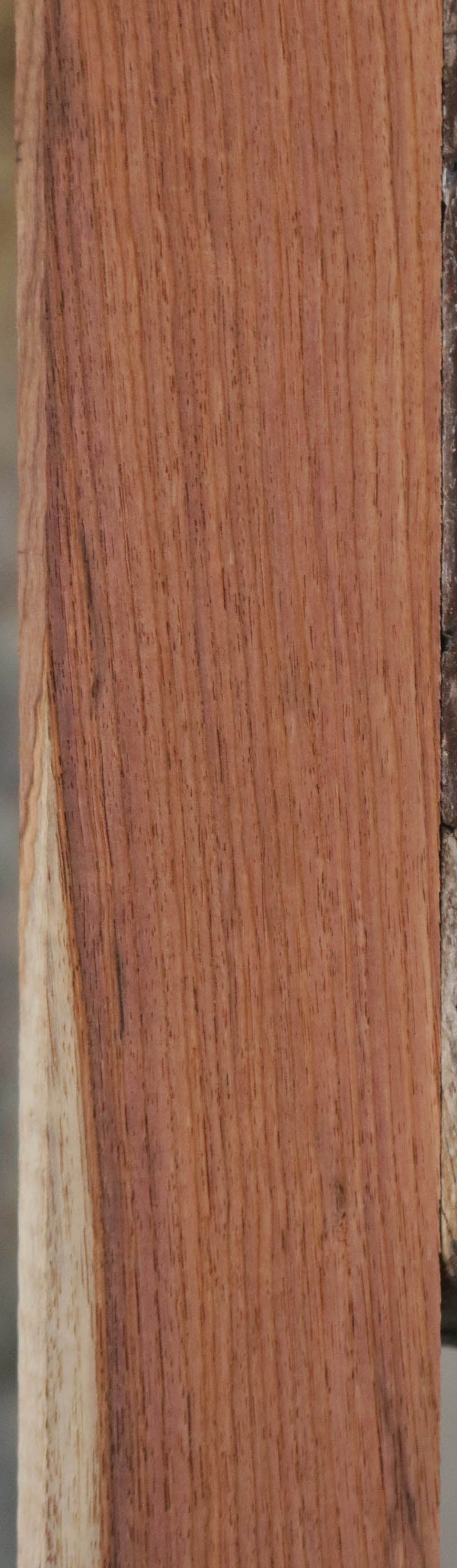 Panama Rosewood