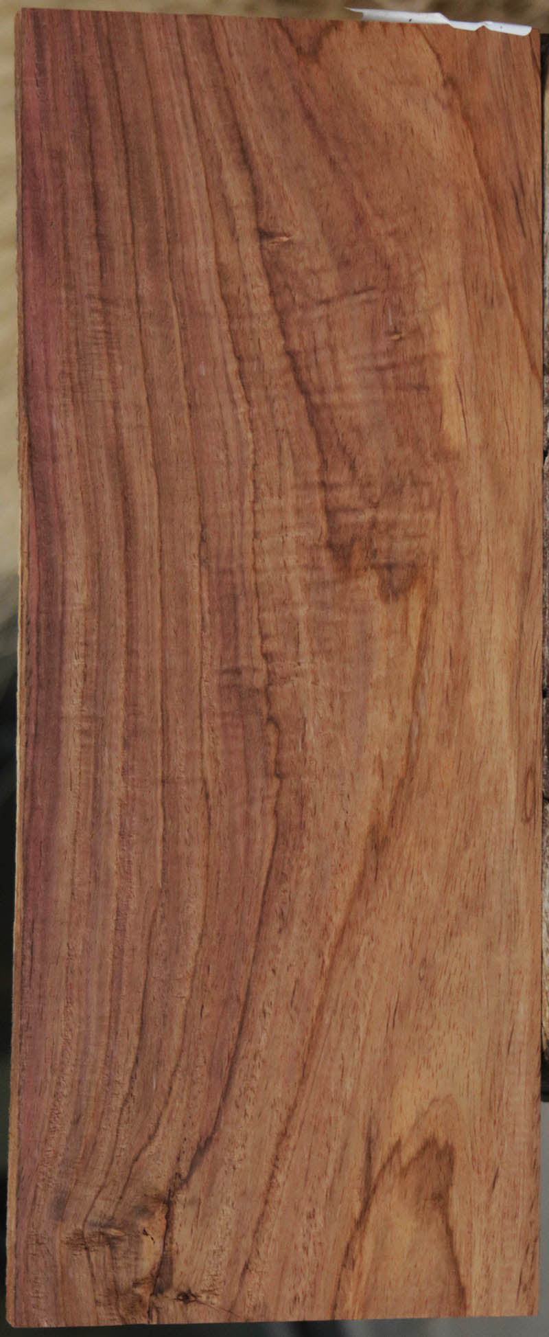 Premium Panama Rosewood