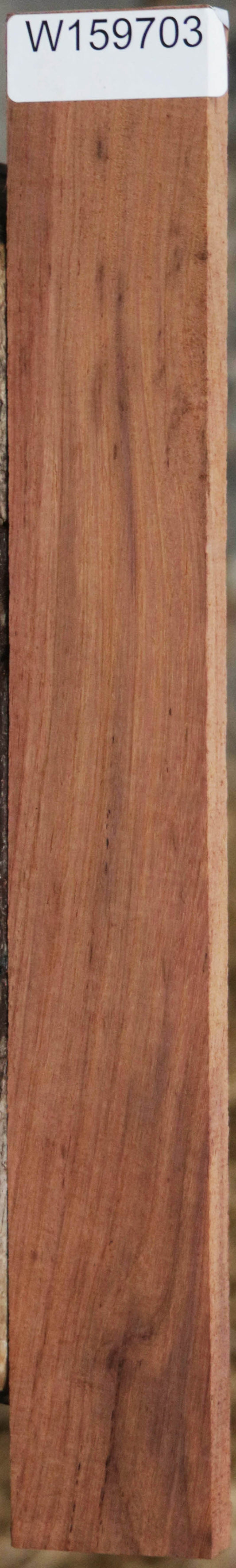 Panama Rosewood